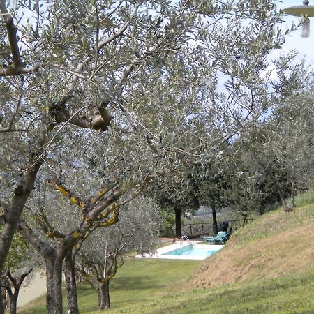 Il Poggio Delle Ginestre ξενώνας Torgiano Εξωτερικό φωτογραφία