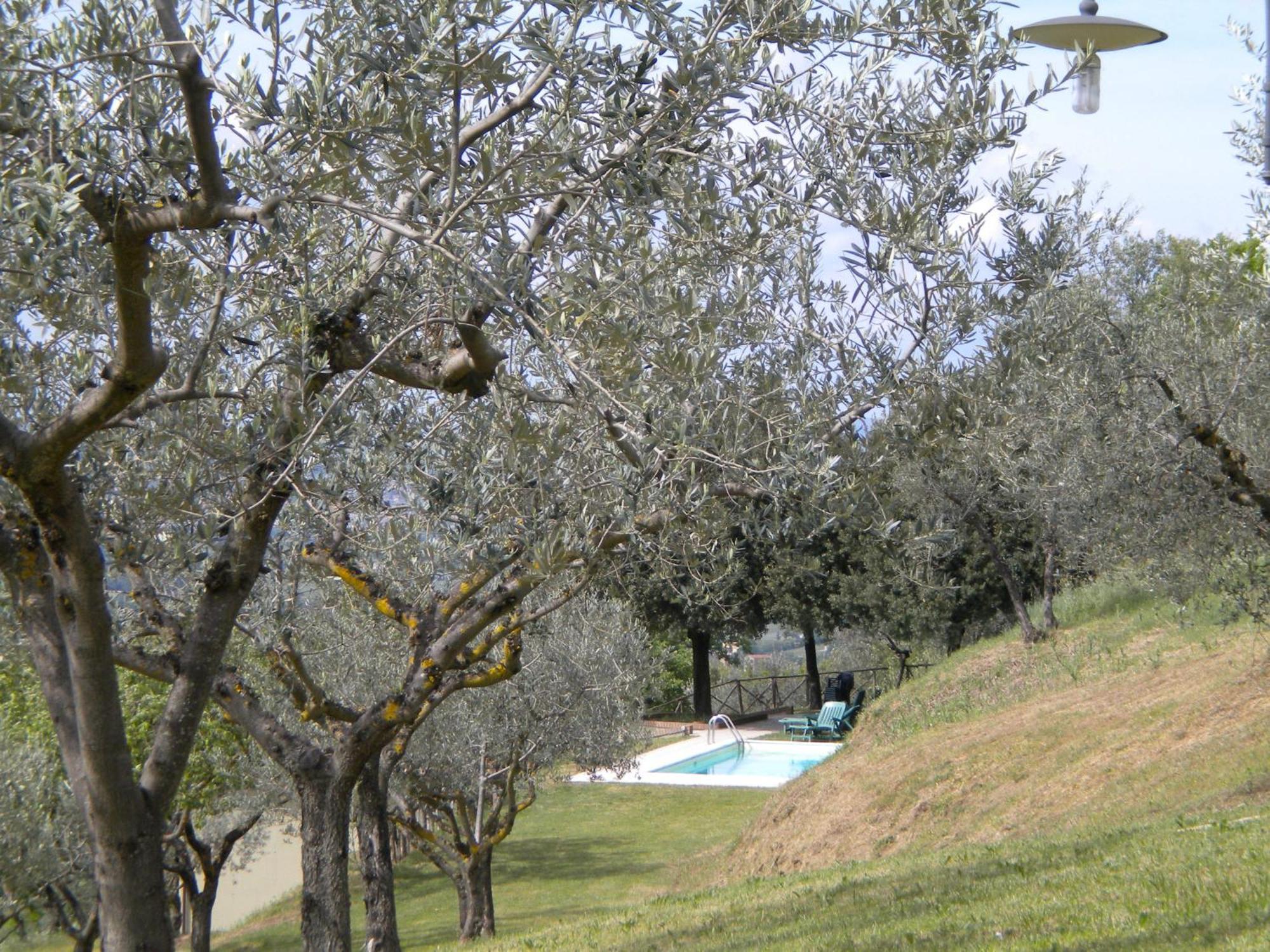 Il Poggio Delle Ginestre ξενώνας Torgiano Εξωτερικό φωτογραφία