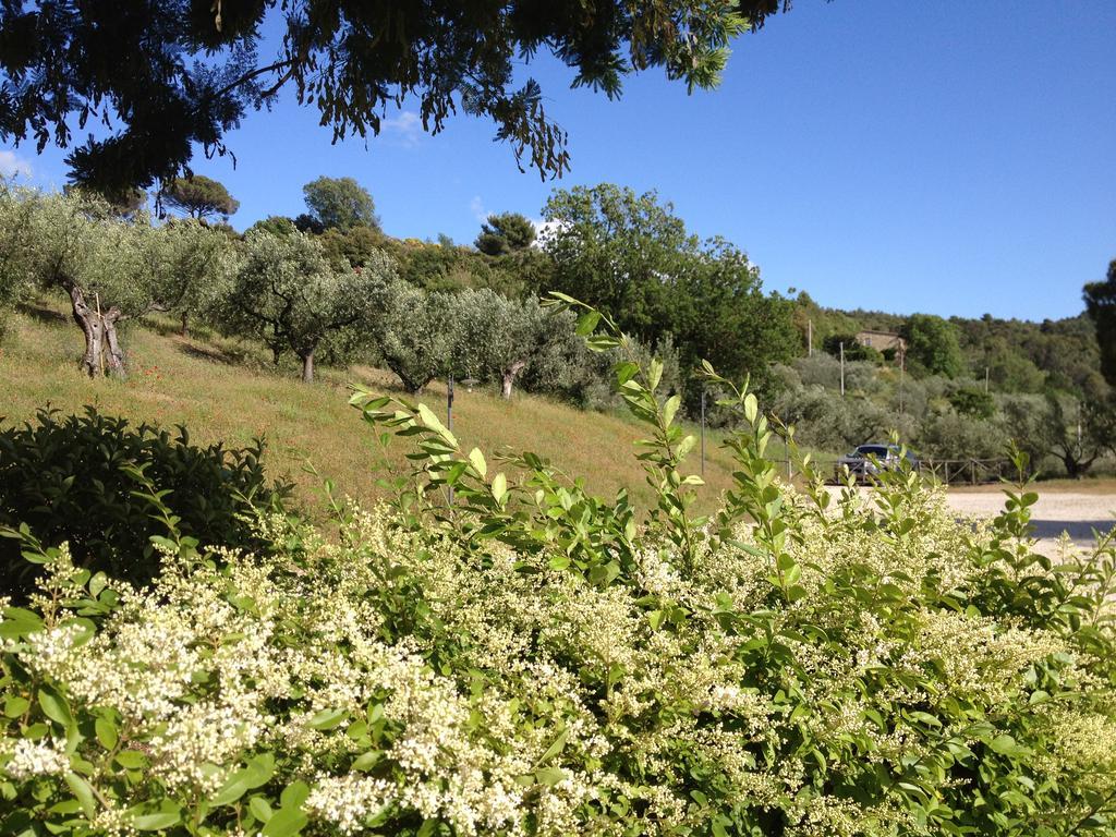 Il Poggio Delle Ginestre ξενώνας Torgiano Εξωτερικό φωτογραφία