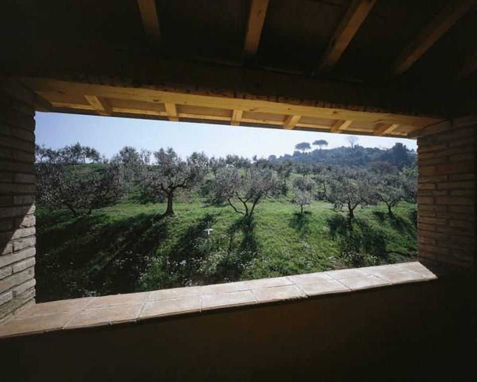 Il Poggio Delle Ginestre ξενώνας Torgiano Εξωτερικό φωτογραφία