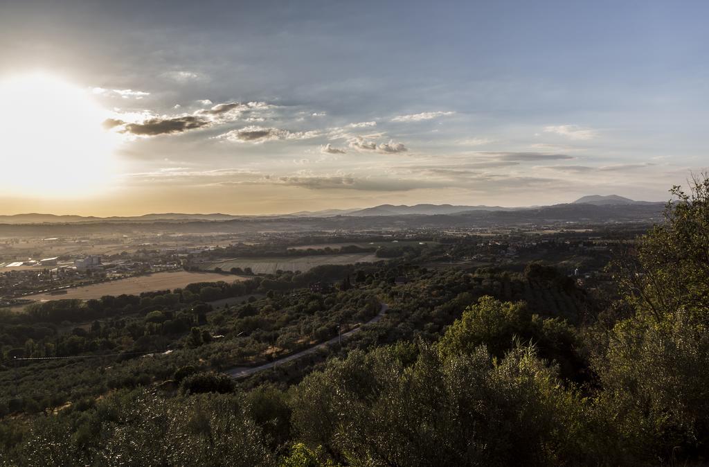 Il Poggio Delle Ginestre ξενώνας Torgiano Εξωτερικό φωτογραφία